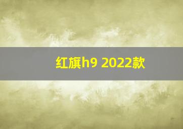 红旗h9 2022款